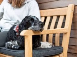 Roble Holzbank Broadfield 122cm Zweisitzer -Gartenmöbel Verkäufe alexander rose roble broadfield gartenbank zweisitzer ambientebild 2 627x627