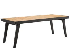 Alu-Teak Dining-Tisch Regency 220x90cm