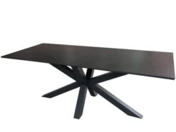 Gartentisch Livingston 200x90cm Cm Alu Anthrazit Sinterstone Dark Grey