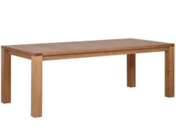 Premium Deluxe Teakholz Gartentisch Loft 220x100cm