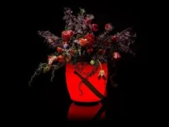 LED & Lautsprecher Sektkühler Blumenvase The Joouly Bowl LTD -Gartenmöbel Verkäufe joouls the joouly bowl LTD limited blumenvase 627x627