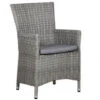 Polyrattan Diningsessel Trinidad Light-grey -Gartenmöbel Verkäufe polyrattan dining sessel trinidad light grey 627x627