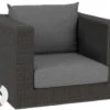 Fontana Lounge Korpus Sessel 1 Fontana Lounge Korpus Sessel -Gartenmöbel Verkäufe stern fontana sessel korpus basaltgrau seidengrau 627x627