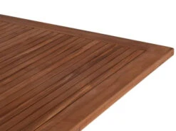 Teak Ausziehtisch Chiemgau 250/300x110cm -Gartenmöbel Verkäufe teakholz ausziehtisch chiemgau detailbild 627x627
